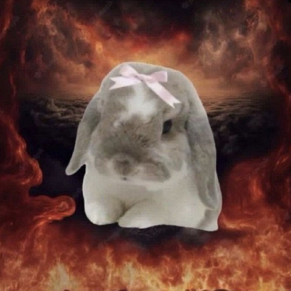 Bun