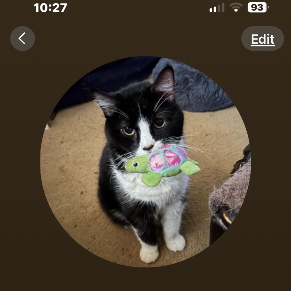 User avatar