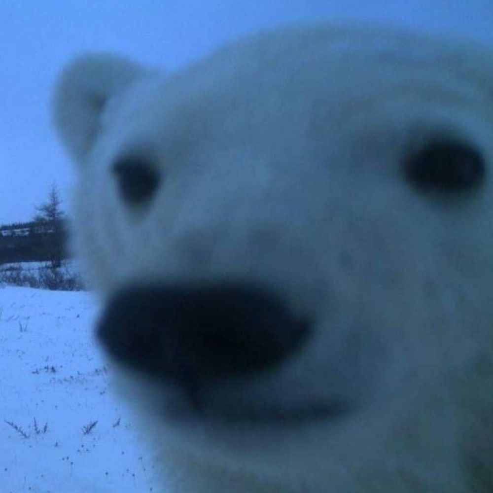 panpanranpan PANPAN