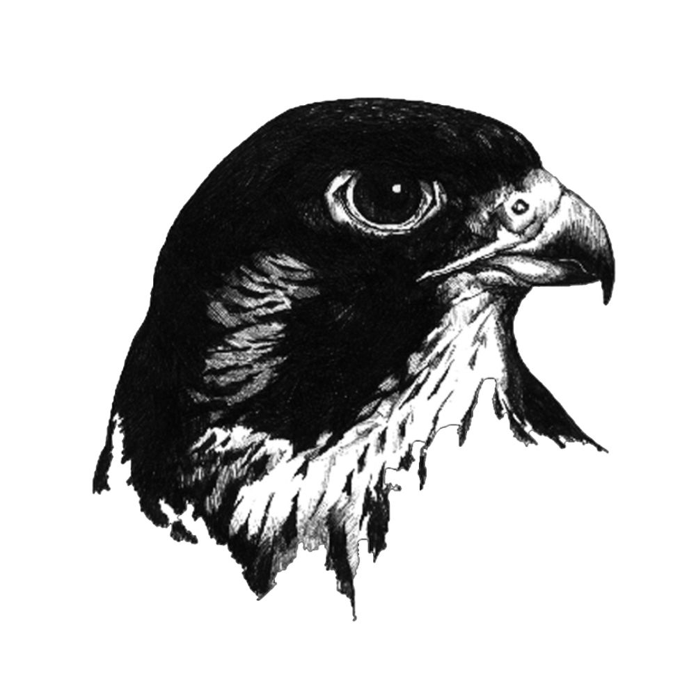 Raptor Resource Project