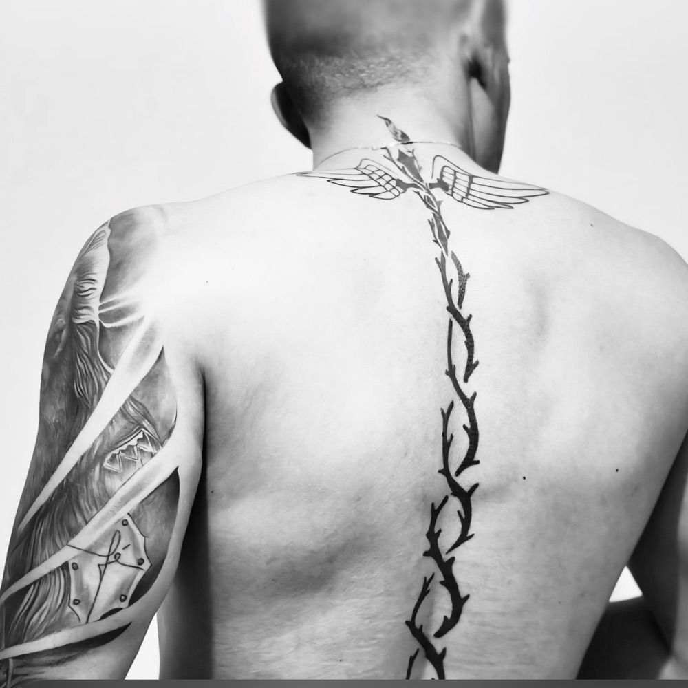 corretorwilton.bsky.social