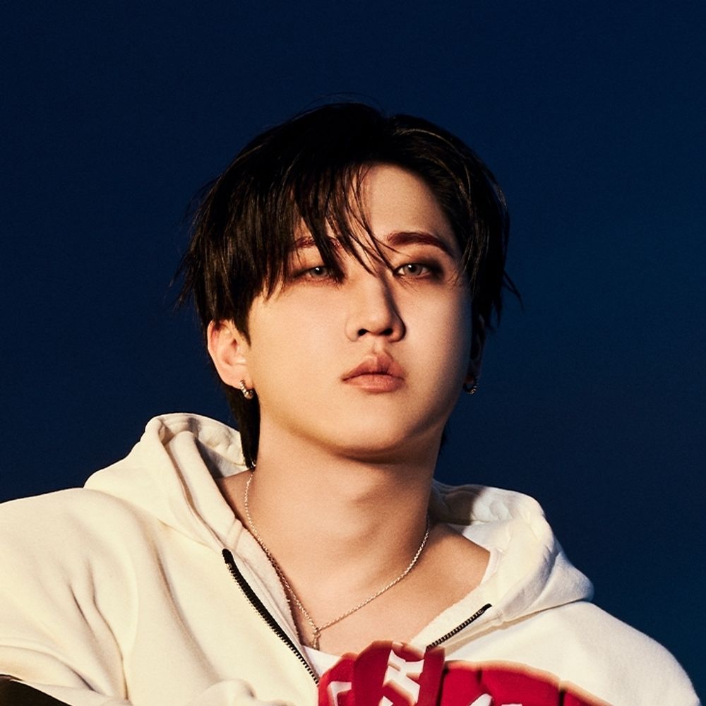 Daily Changbin's Avatar