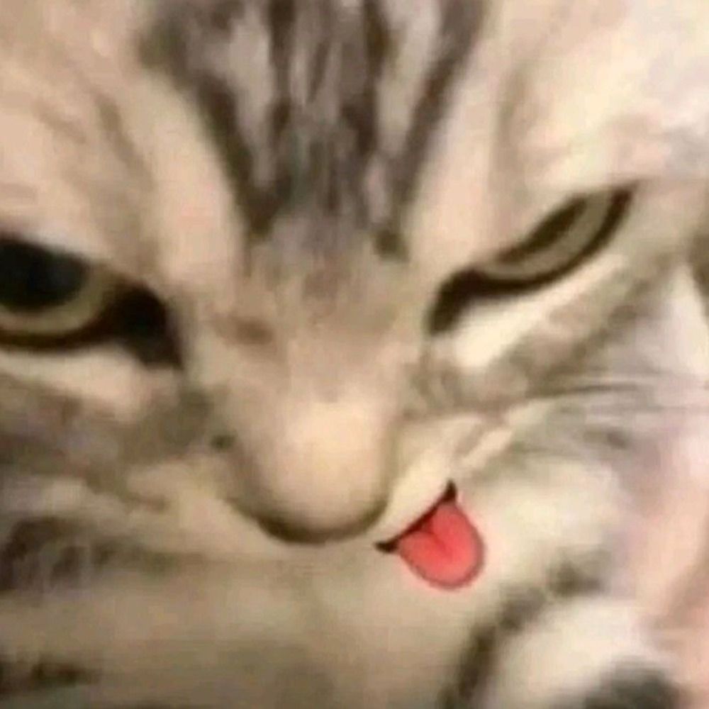 qiqi