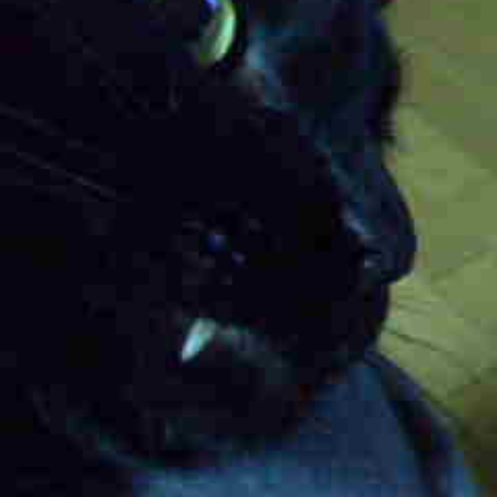 kiba_zou