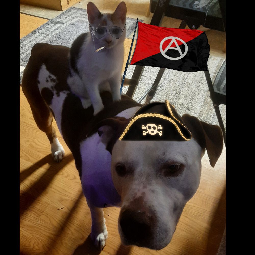 Radical Mainiac