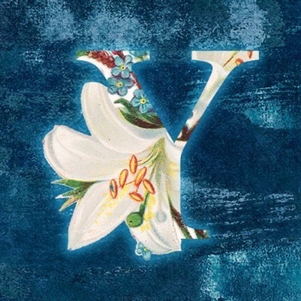 悠