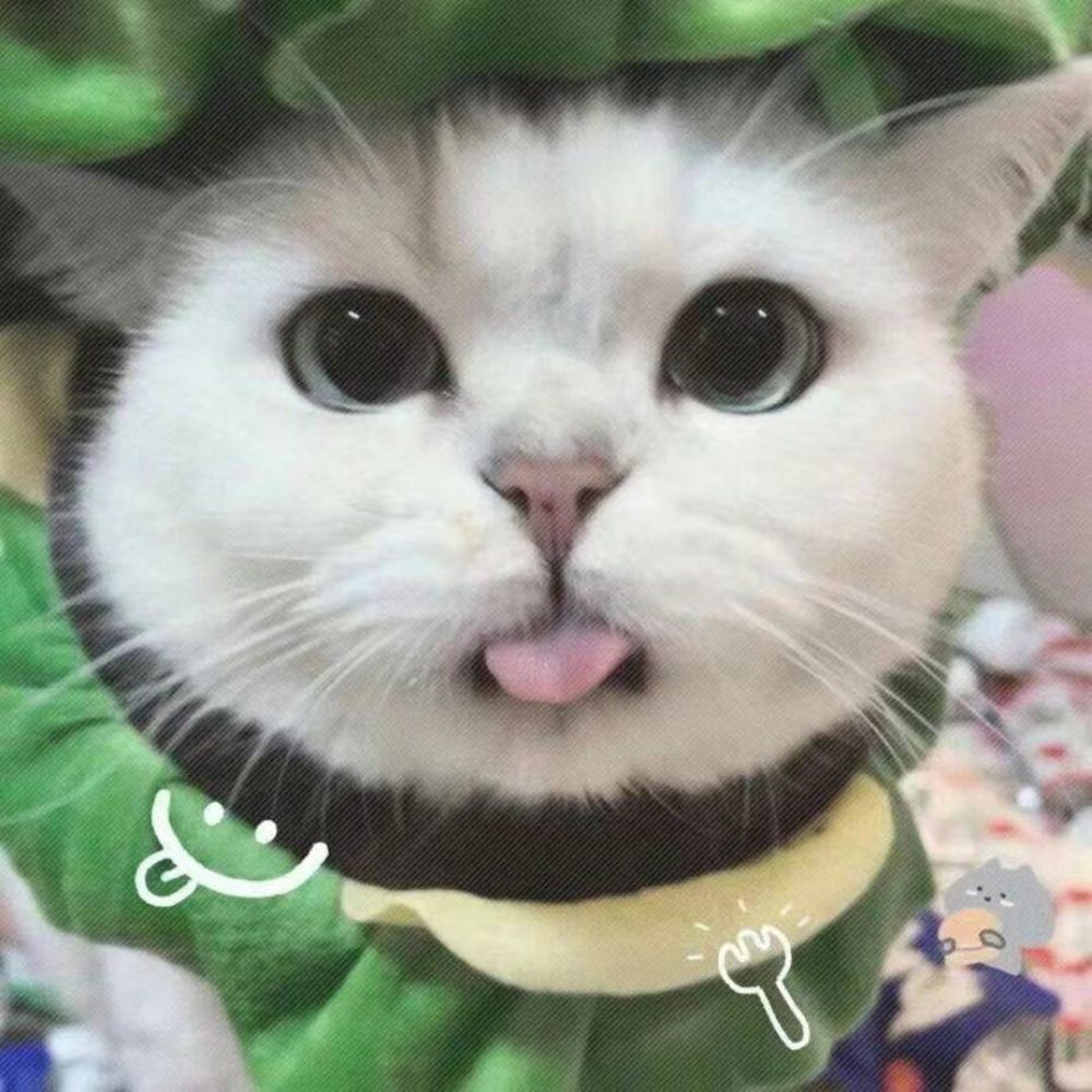 尺玉.
