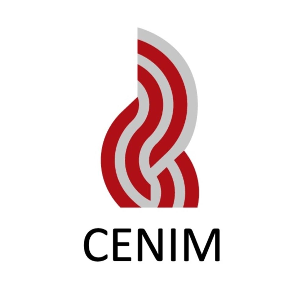 Centro Nacional de Investigaciones Metalúrgicas (CENIM-CSIC)