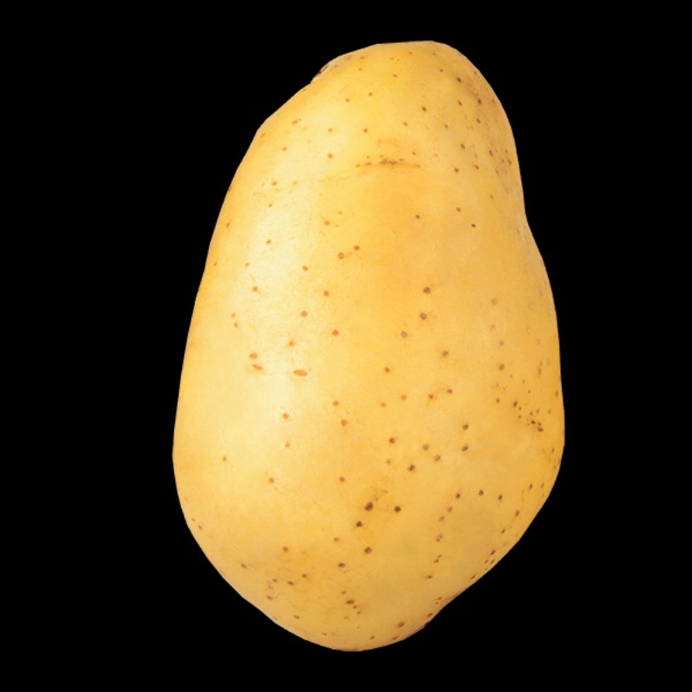 Batata