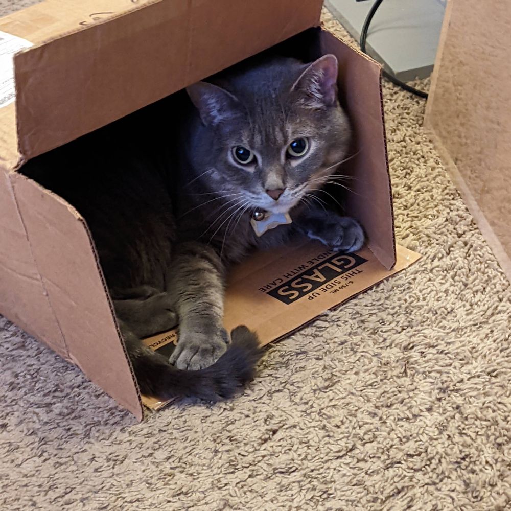 Dorian Grey (aka LittoBebe!!)