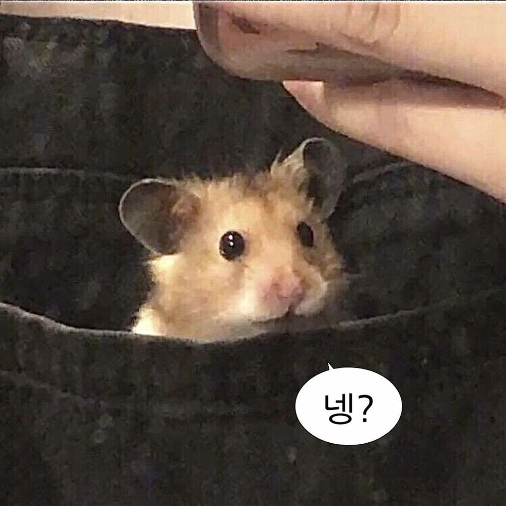 몜