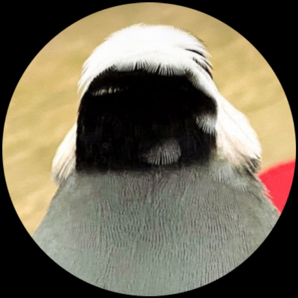 レモママ