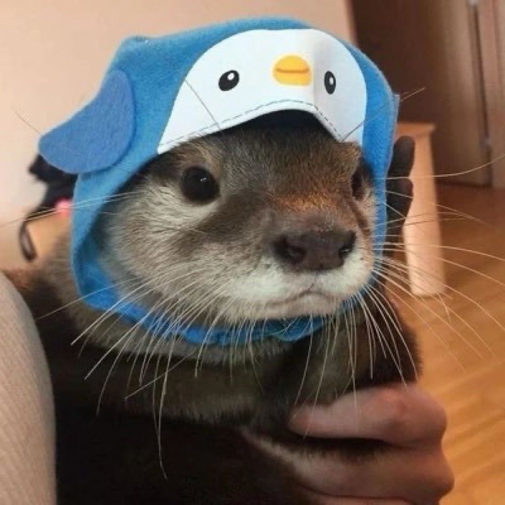 Oooootter
