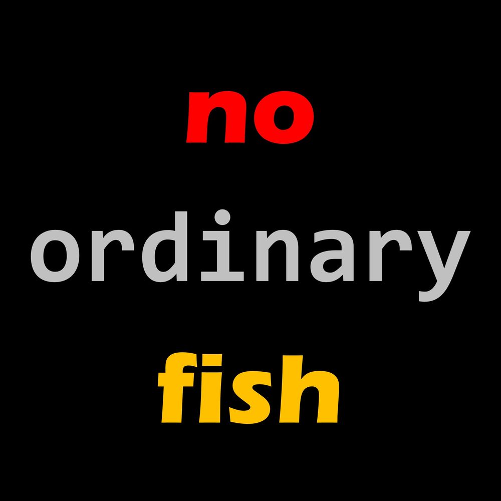 no ordinary fish 