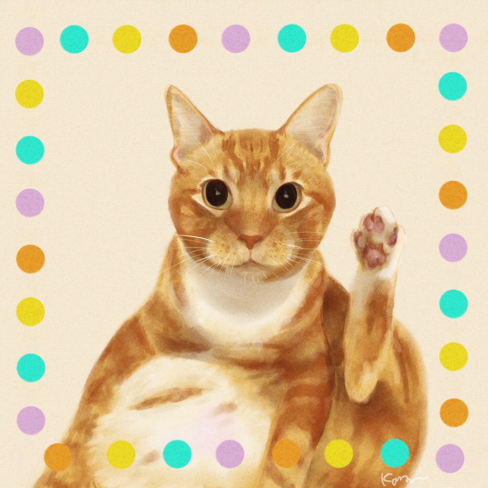 Mocchi