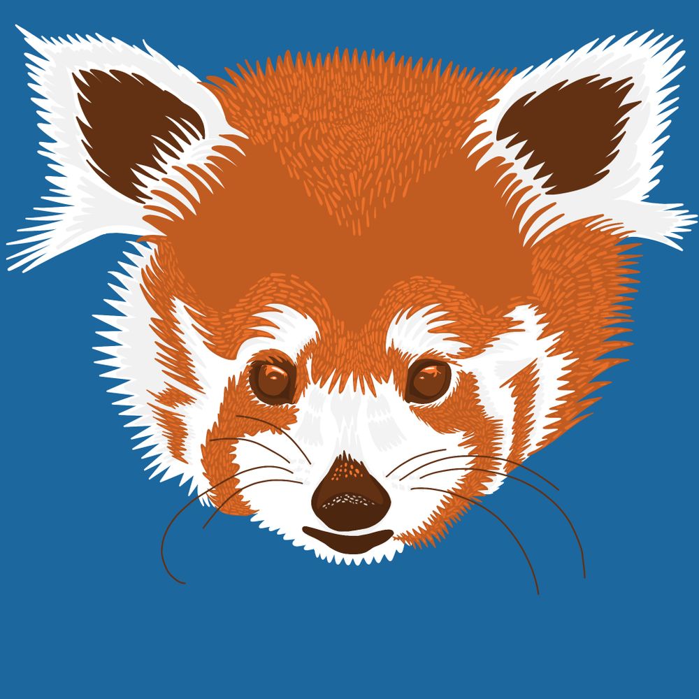 Red-Panda-Illustration