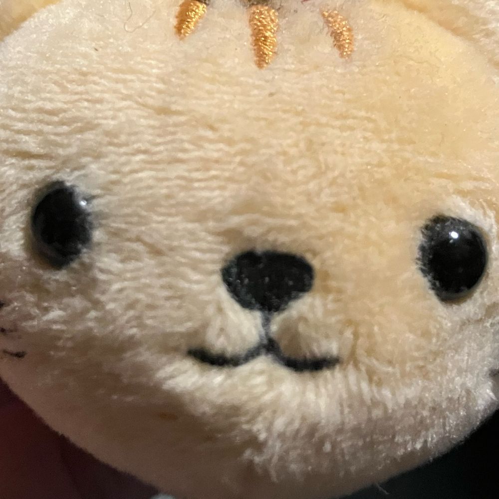 🐾 トラネこ🐾