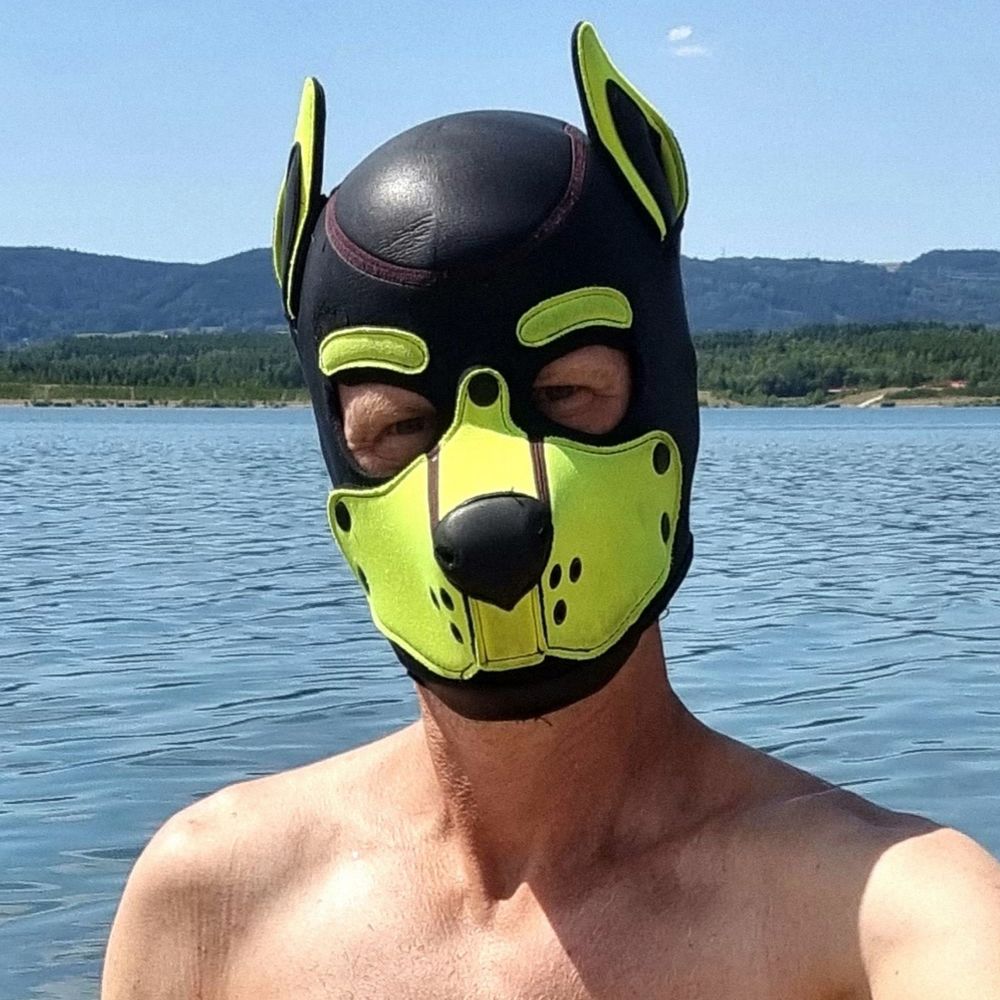 Puppy_Tomik