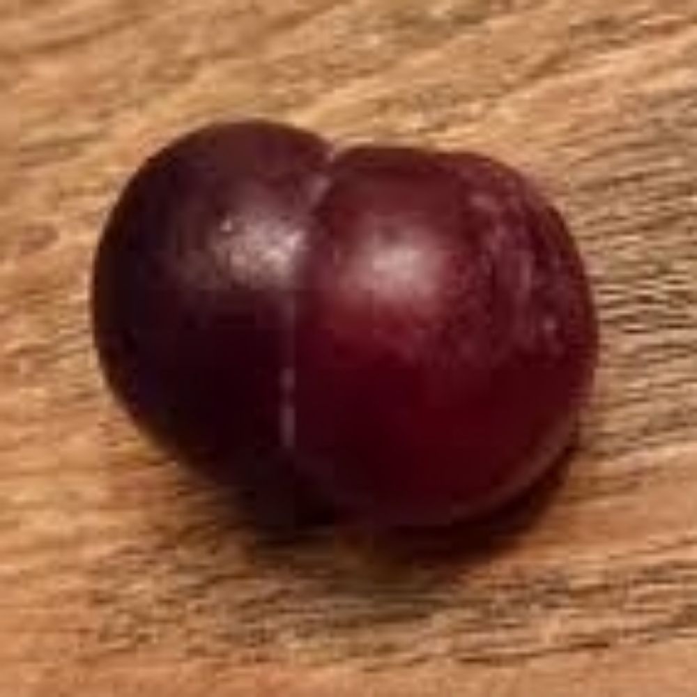 🏺PhatGrapeJuice🍇🔞