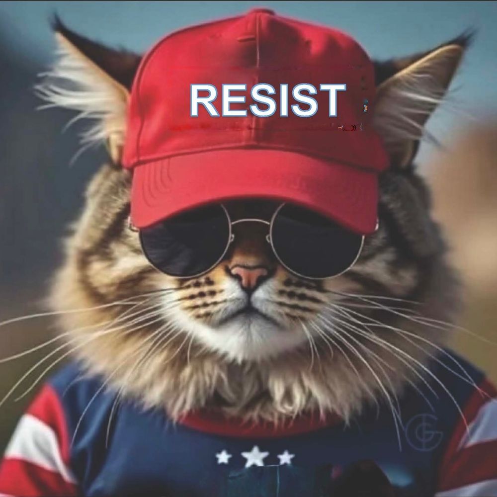 lilydeb.bsky.social profile picture