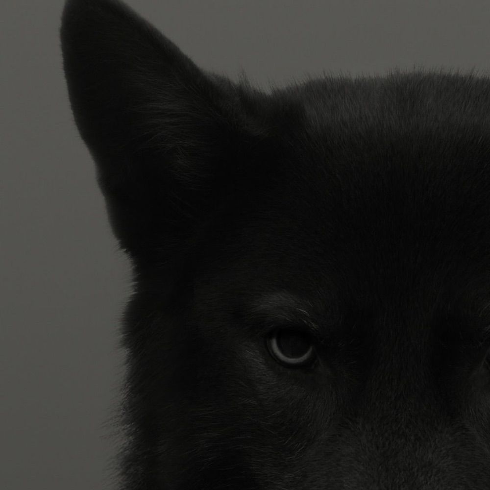 Axel