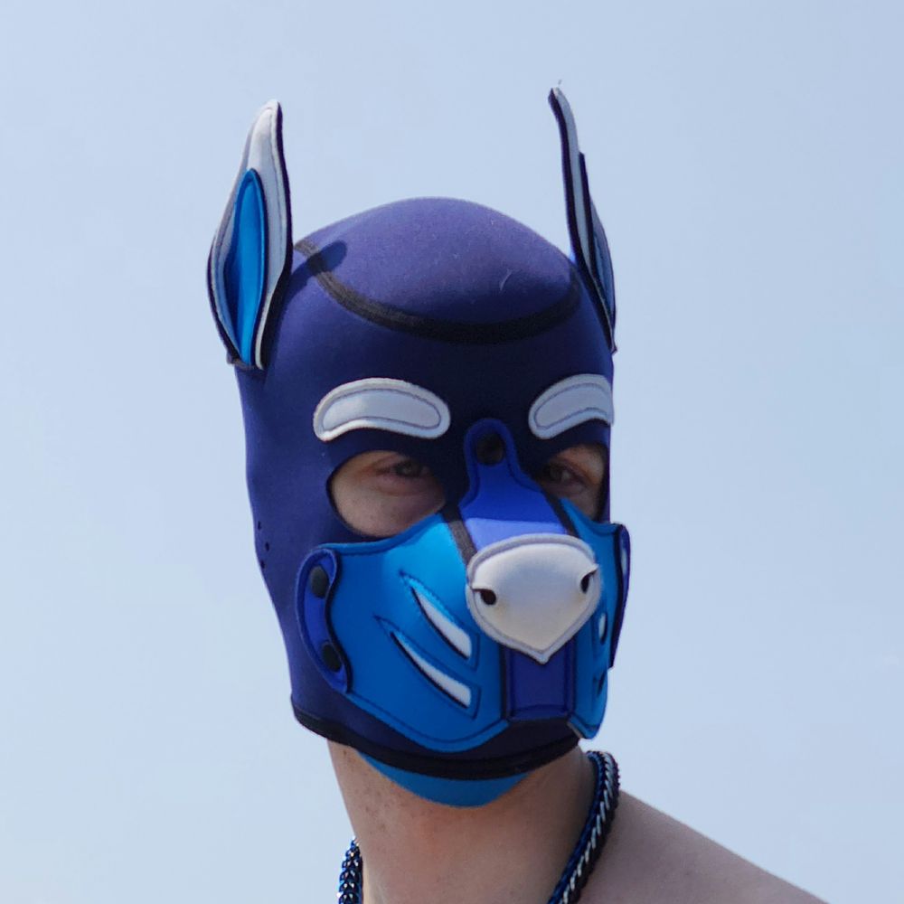Pup Vapor 🔜 FWA 25'