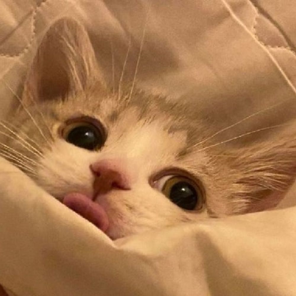 채채