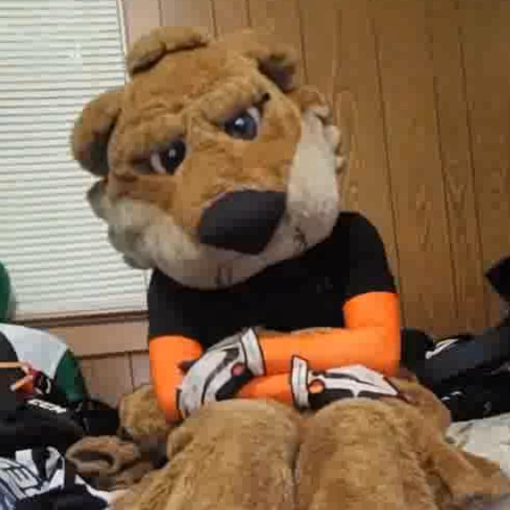 Derrick the Mascot Collective