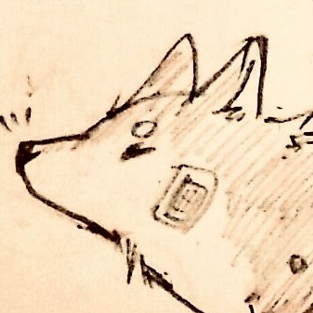 犬皮