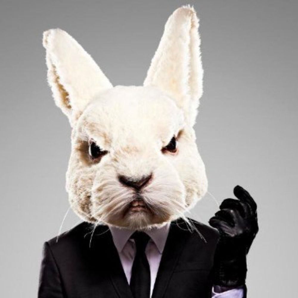 White Rabbit Spam