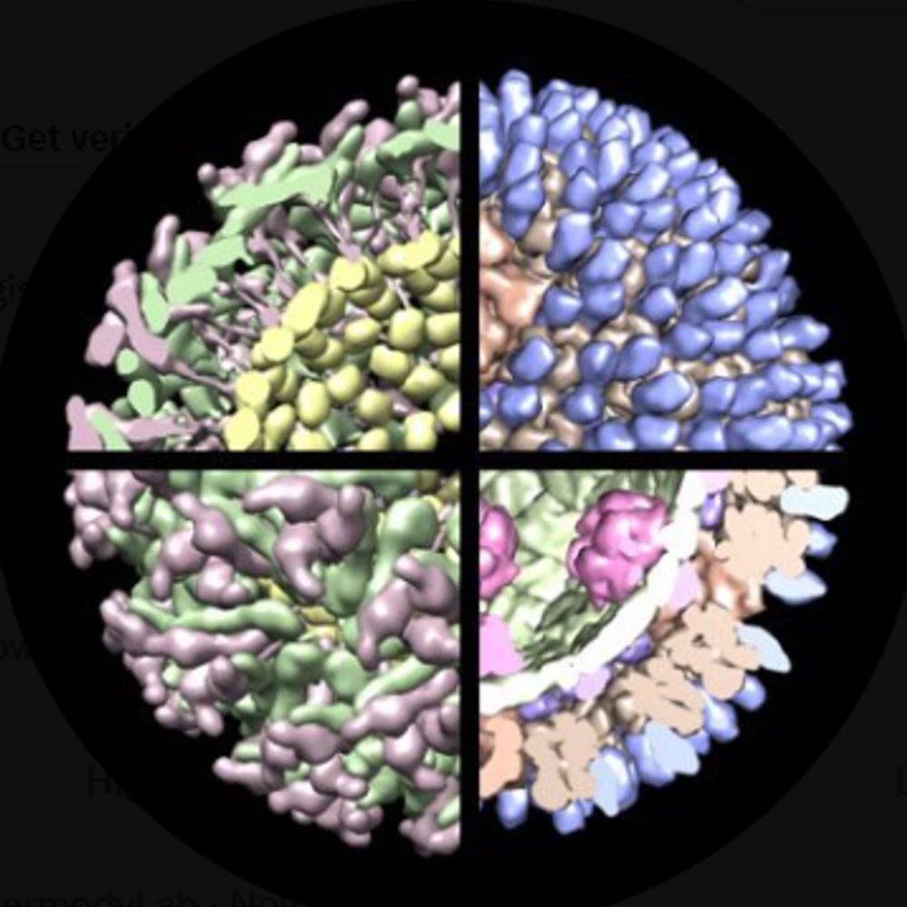 DermodyLab