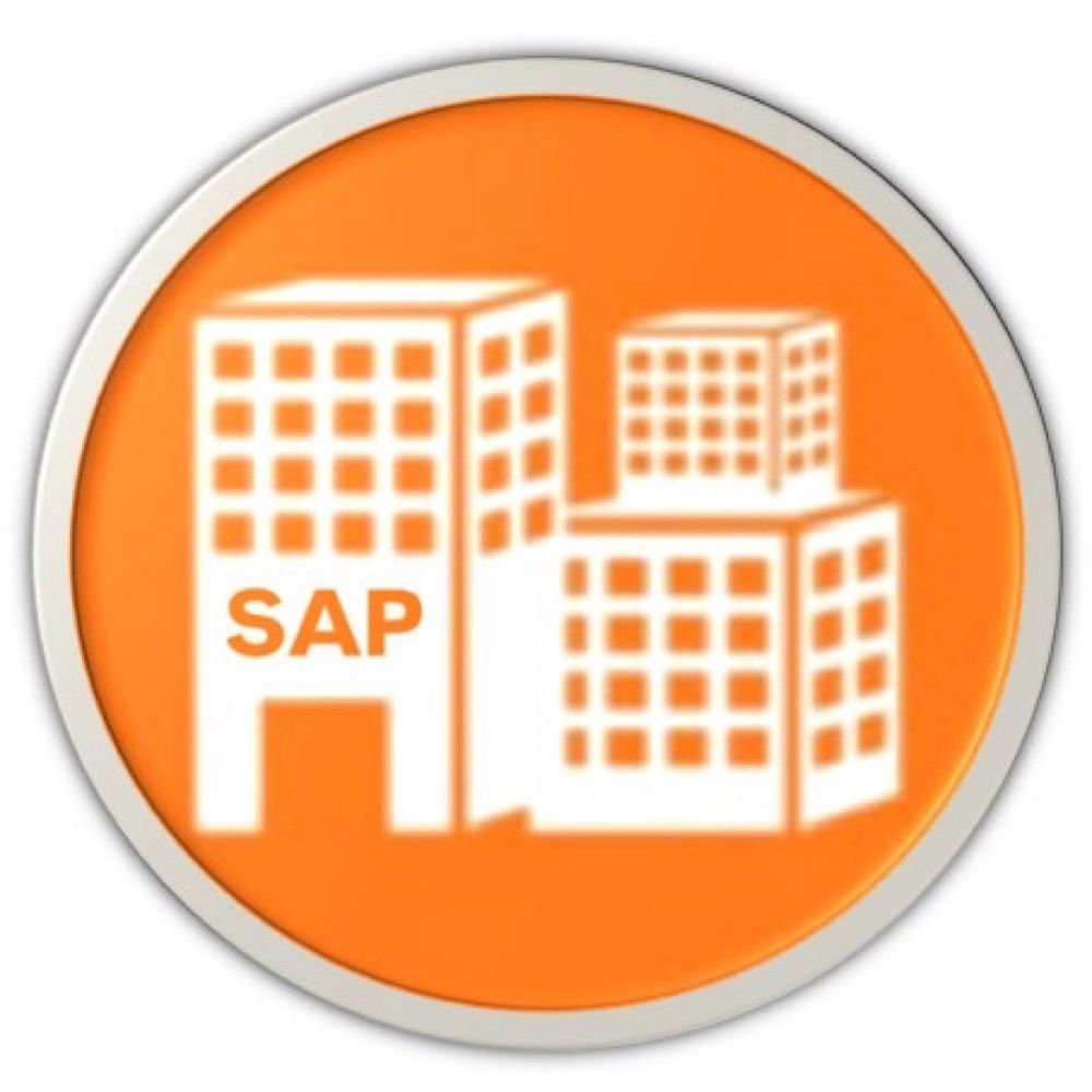 SAP® Franchising & M&A Advisory S4-Experts
