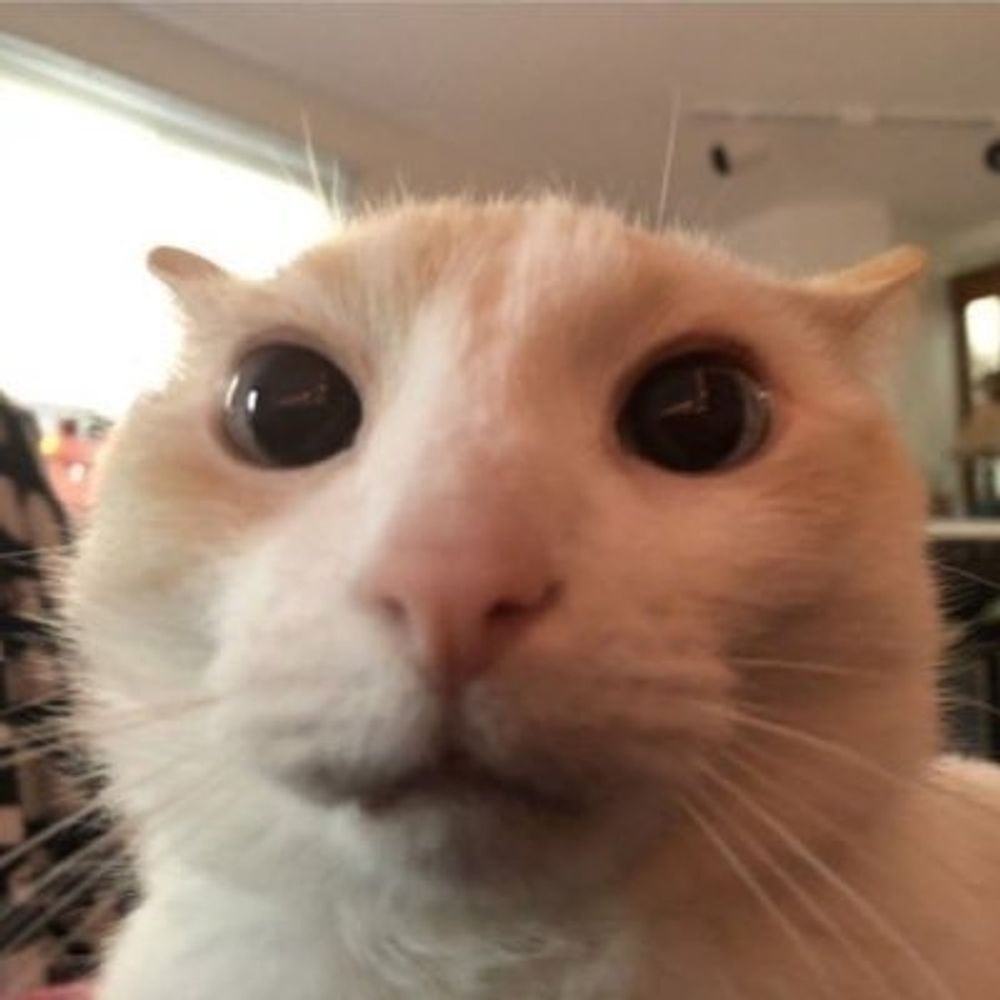 sam