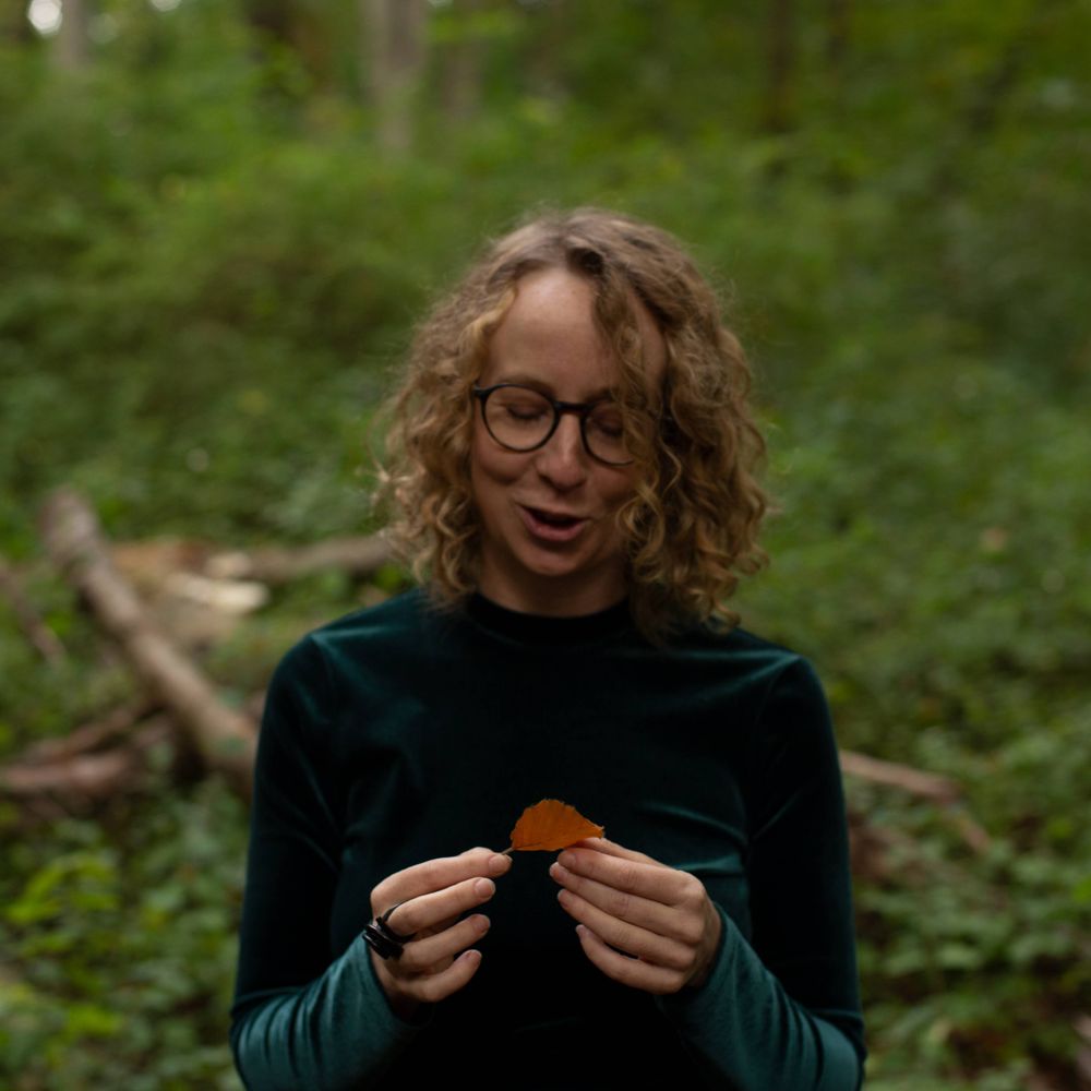 The Guilty Environmentalist