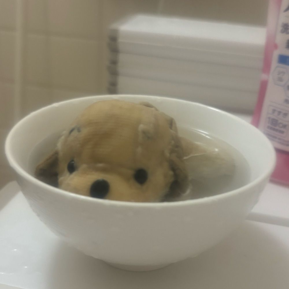 いぬ太