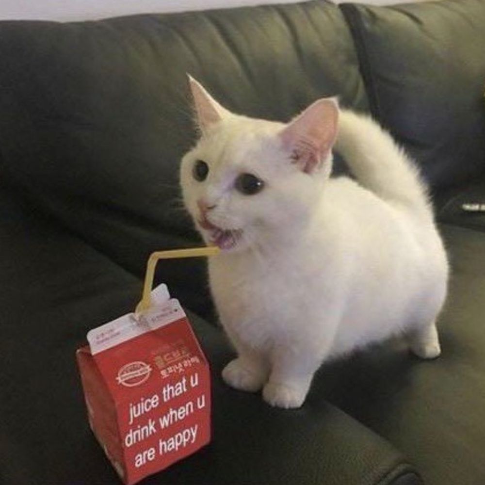 Biskit