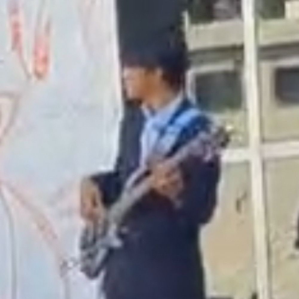 莇乃