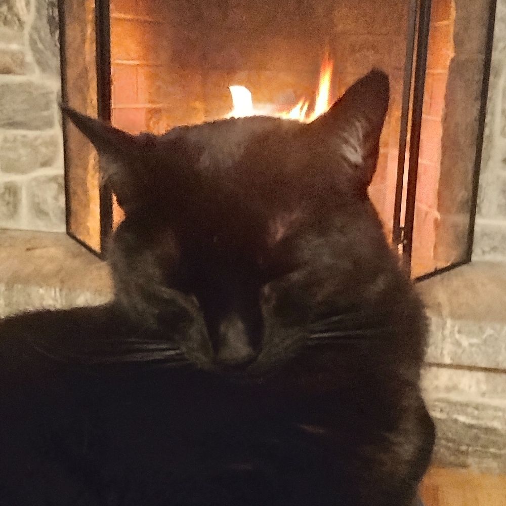 Rufus of Home