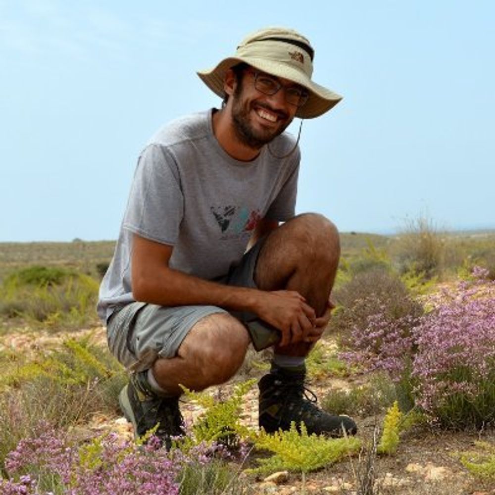 Rubén Tarifa