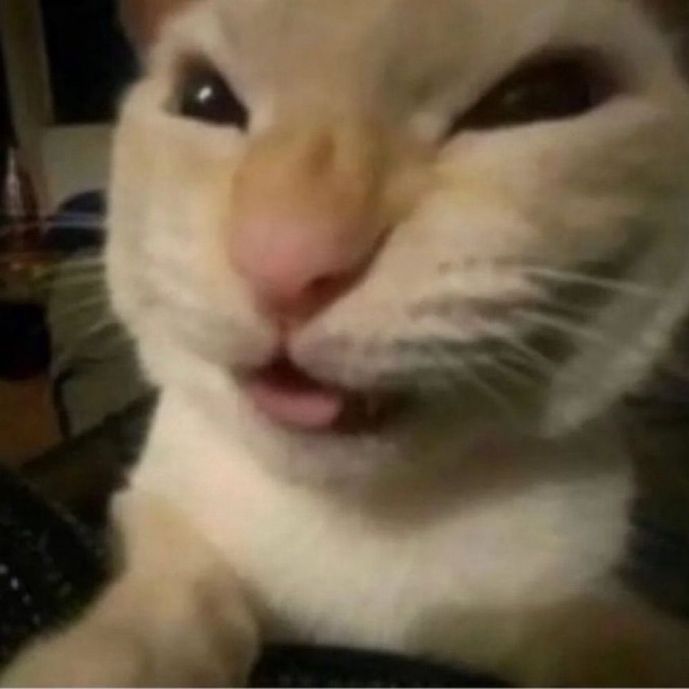hehe