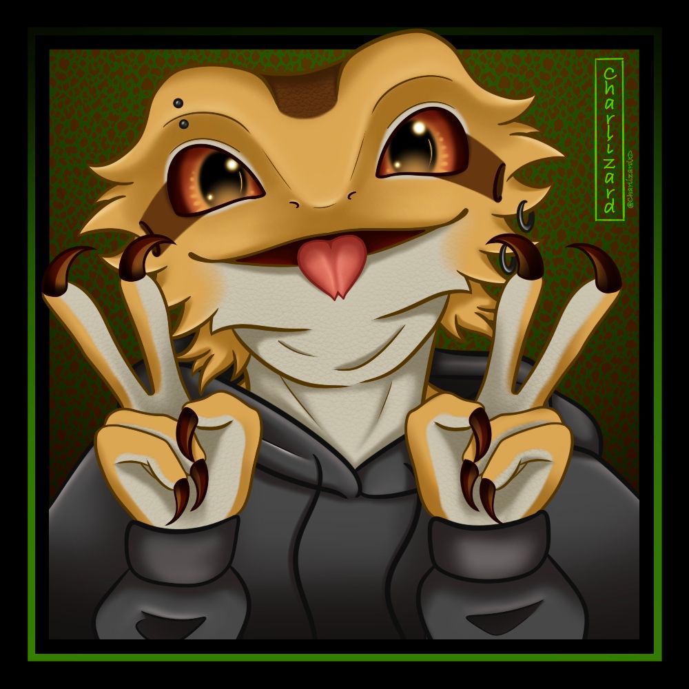 CharlizardxD 