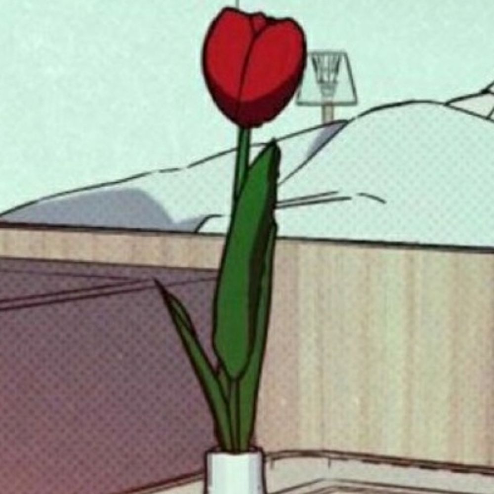 𝑴𝒂𝒓𝒊𝒚𝒂🥀🤍