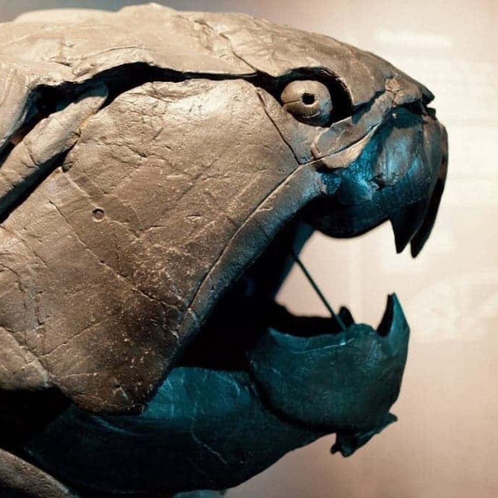 Dunkleosteus