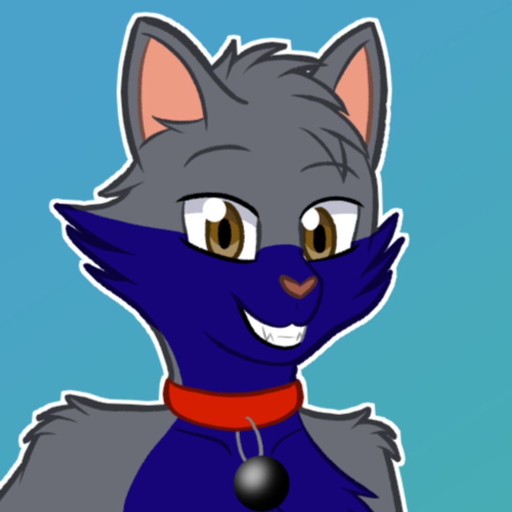 Scout the Cat