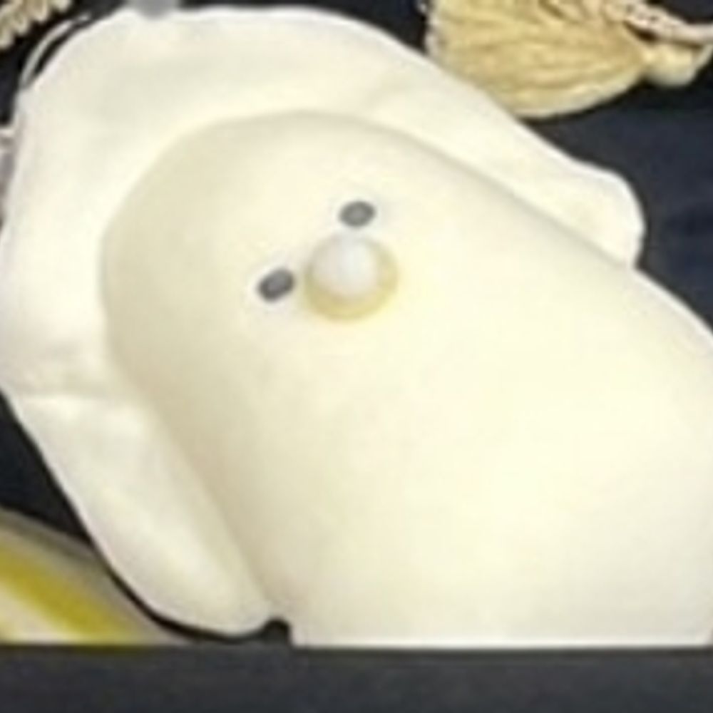 まちゅんこ