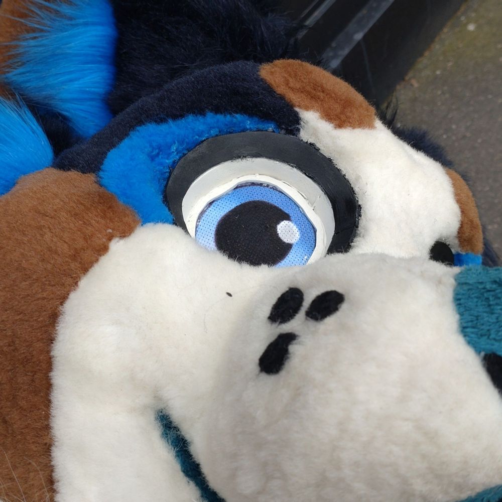 Benny Collie