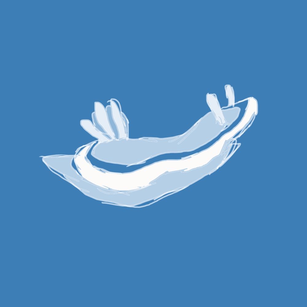 瀛楸すい𓆝𓆟