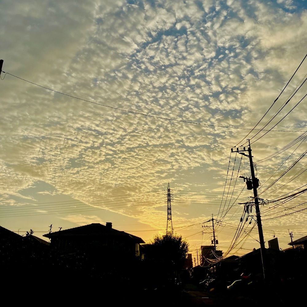おその