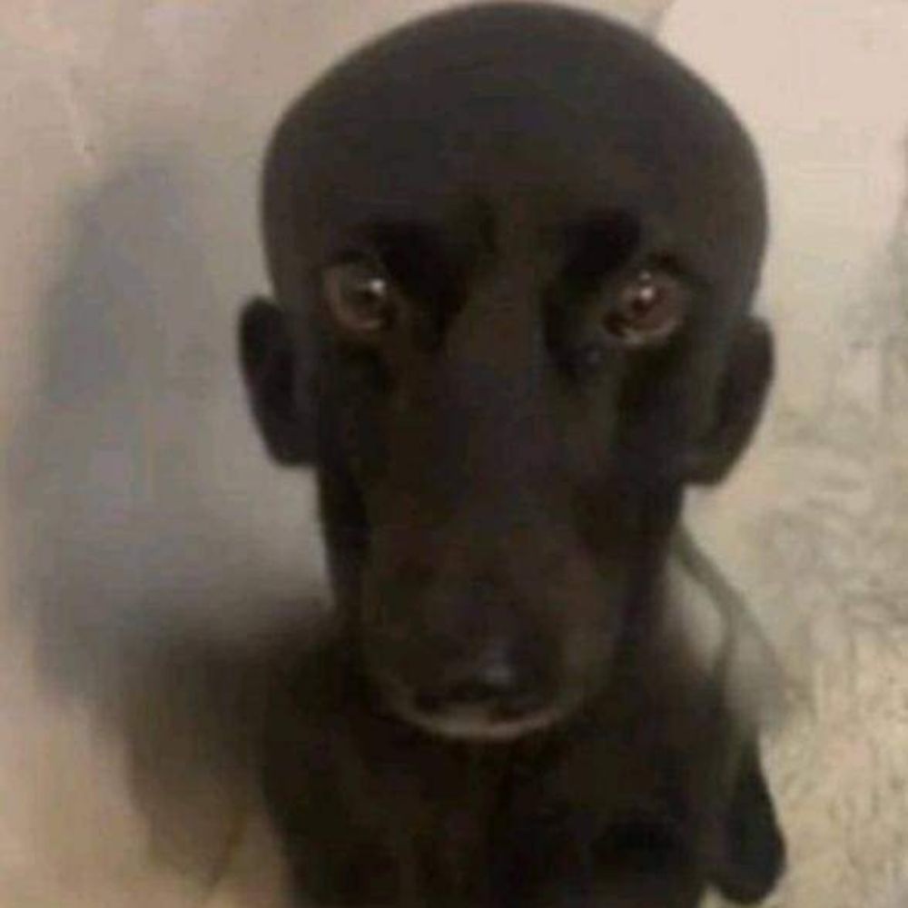 Kafka