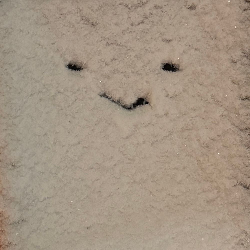 Boi